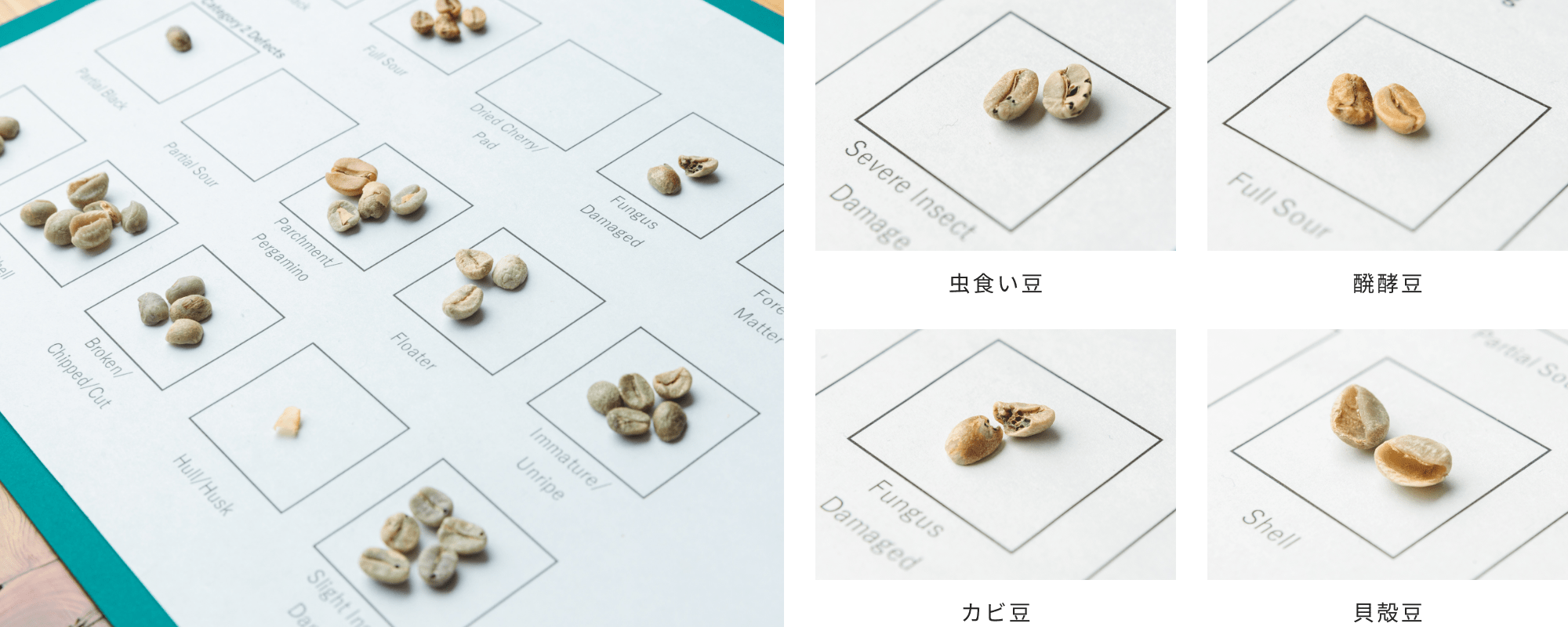 欠点豆の除去
