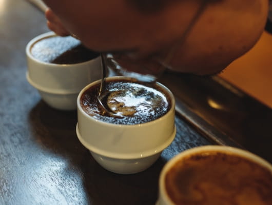 Cupping Testsとは