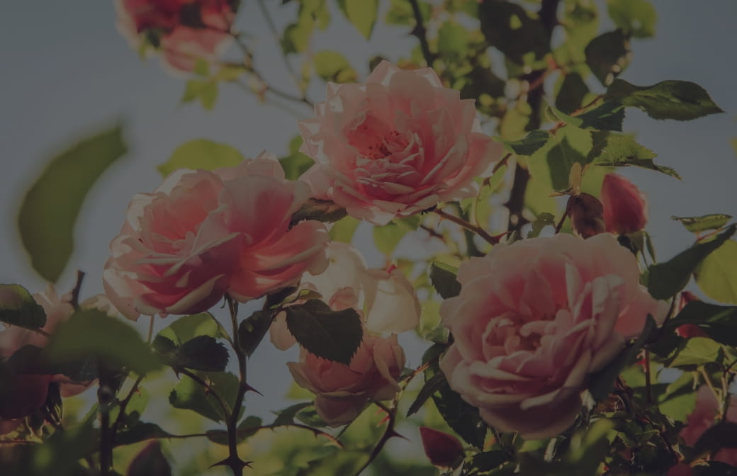 FLORAL