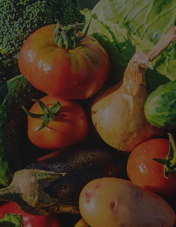 VEGETATIVE