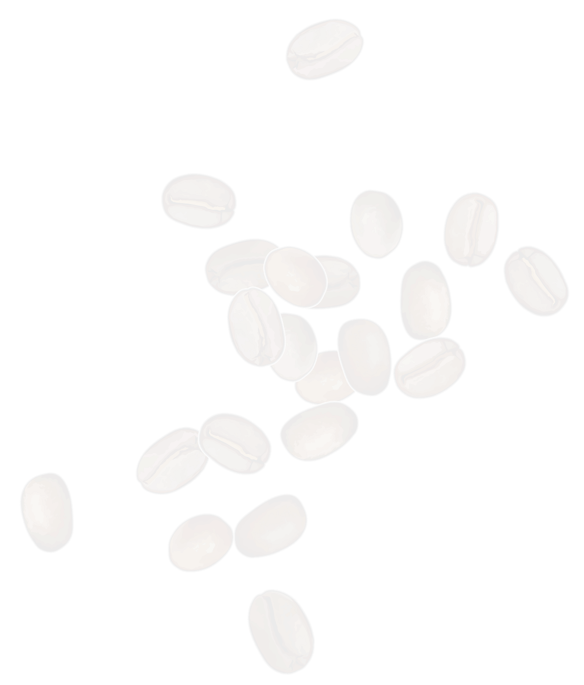 COFFEE ROASTERY 101
